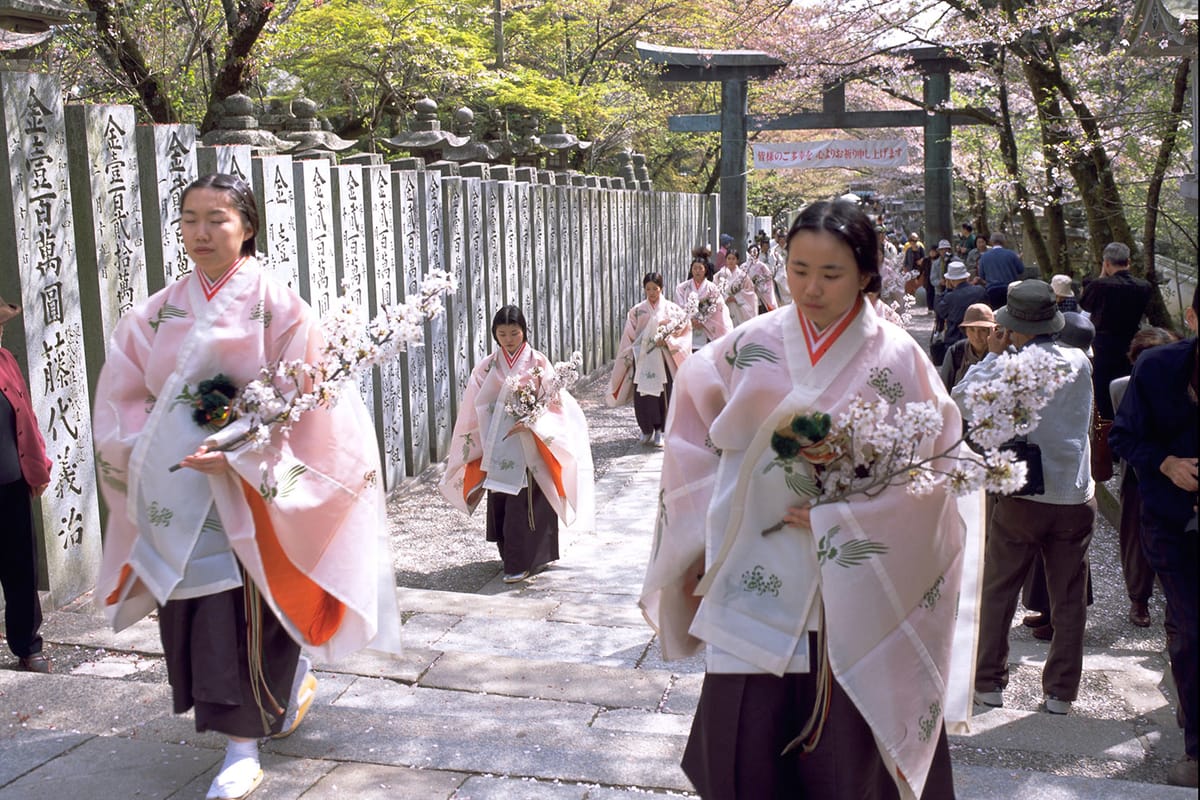 Festival Sakura Oka (Kotohira-gu)