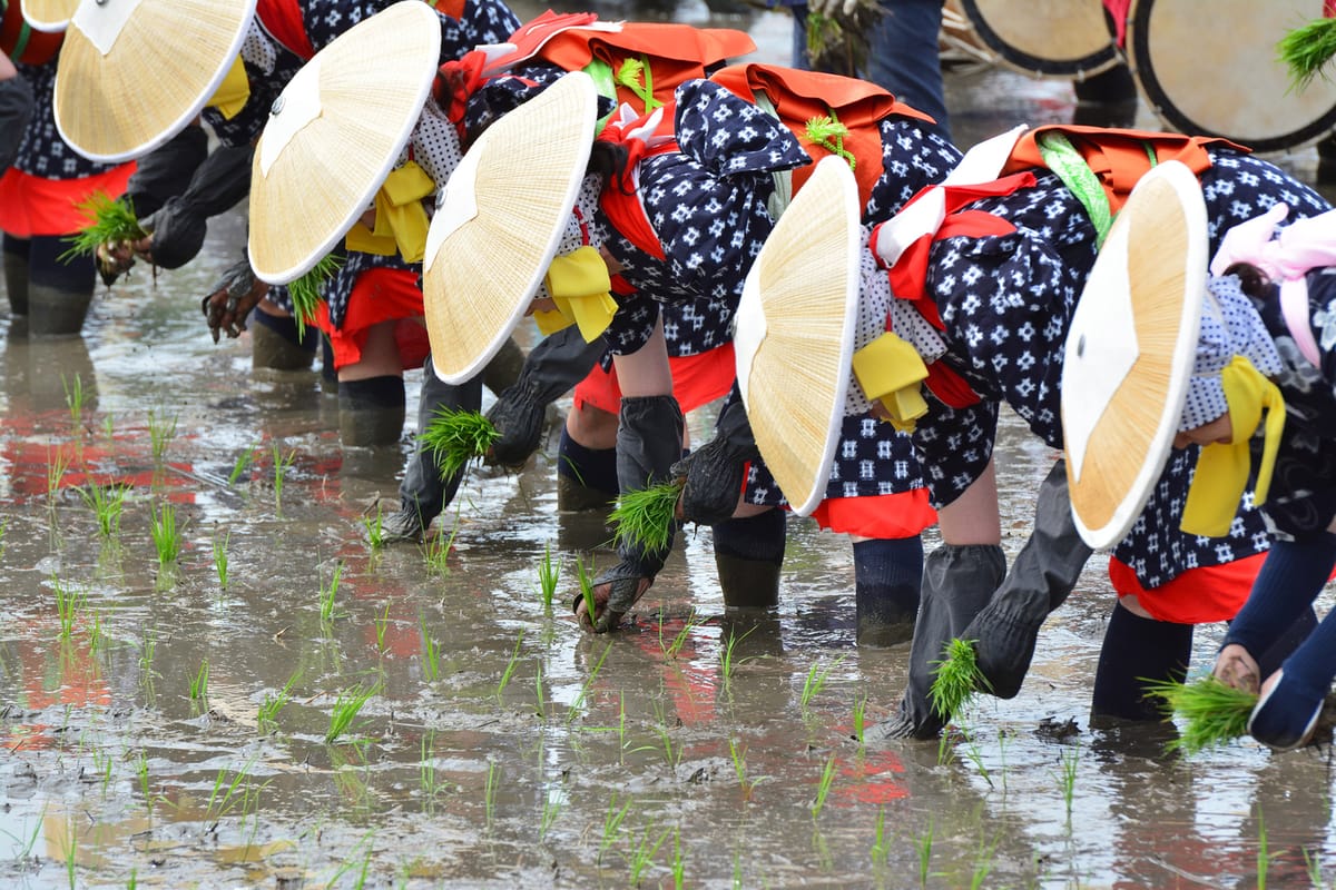 伊佐須美神社御田植祭