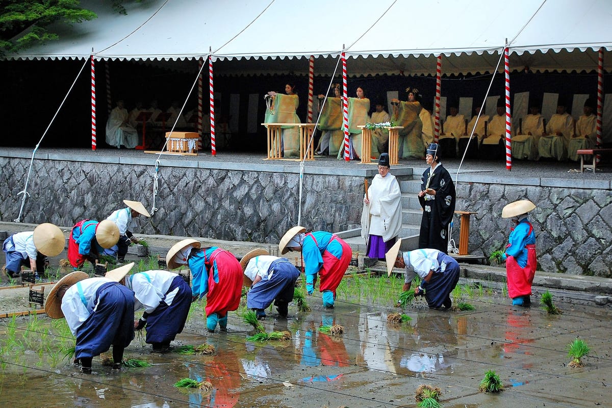 伏见稻荷大社 田植祭