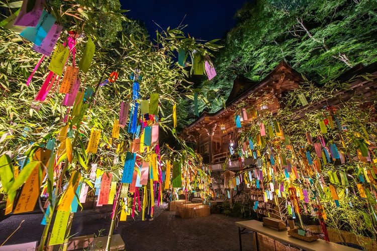 貴船神社 七夕笹飾りライトアップ