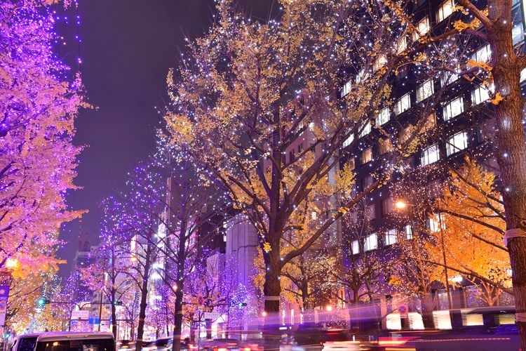 Midosuji Illumination