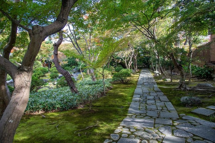 สวนโมโดชิ (Todo Clan Garden) 2