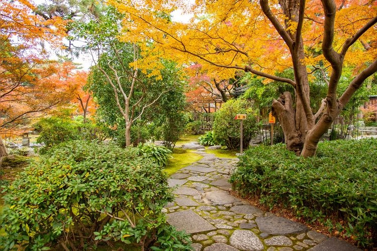 สวนโมโดชิ (Todo Clan Garden) 3