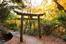 白馬渓の観光地画像(2)