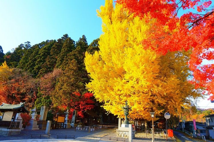 Kumano Taisha 3