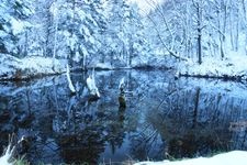 Tourist destination images of Kaminoko Pond(2)