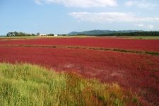 Tourist destination images of Lake Saroma(5)