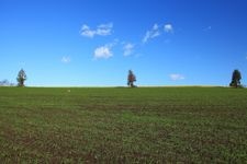 Tourist destination images of Tokachi Farm Observatory(5)