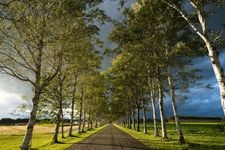 Tourist destination images of Tokachi Farm Observatory(6)