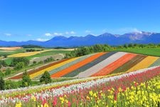 Tourist destination images of Patchwork Road(4)