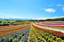 Tourist destination images of Patchwork Road(3)