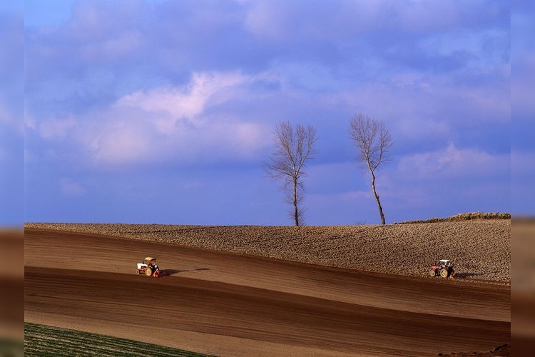 Tourist destination images of Patchwork Road(5)