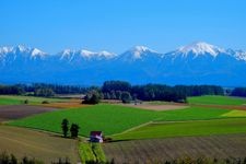 Tourist destination images of Shin-ei no Oka Observatory Park(6)