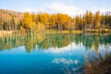 Tourist destination images of Shirogane Blue Pond(1)