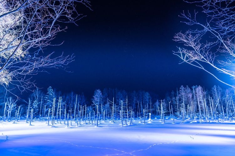 Tourist destination images of Shirogane Blue Pond(4)