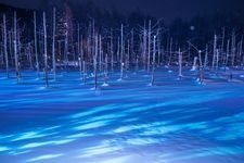 Tourist destination images of Shirogane Blue Pond(2)