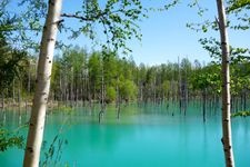 Tourist destination images of Shirogane Blue Pond(3)