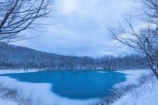 Tourist destination images of Shirogane Blue Pond(4)