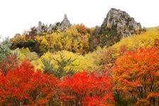 Tourist destination images of Ginga and Ryusei Waterfalls(1)