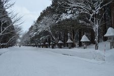 Tourist destination images of Hokkaido Shrine(1)