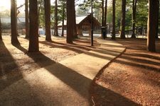 Tourist destination images of Hokkaido Shrine(5)