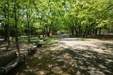 Tourist destination images of Maruyama Park(1)