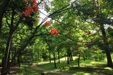 Tourist destination images of Nakajima Park(3)