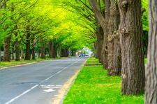 Tourist destination images of Hokkaido University(1)