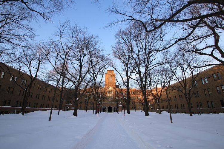 Hokkaido University