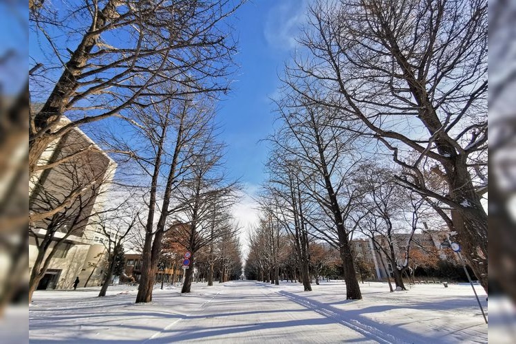 Tourist destination images of Hokkaido University(4)