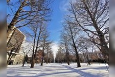 Tourist destination images of Hokkaido University(4)