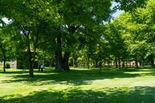 Tourist destination images of Hokkaido University(3)