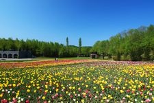 Tourist destination images of Kokuei Takino Suzuran Hillside Park(3)