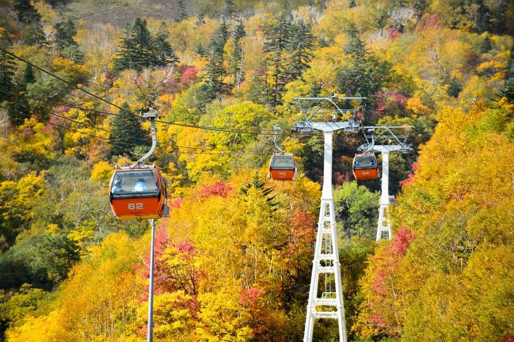 Sapporo Kokusai Ski Resort Autumn Foliage Gondola