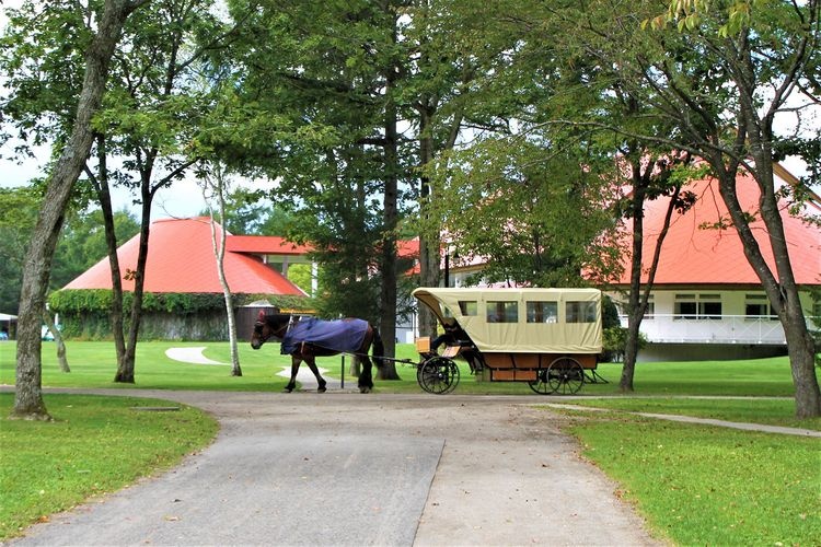 Northern Horse Park