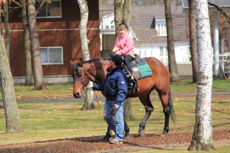 Tourist destination images of Northern Horse Park(2)