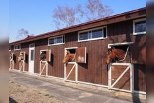 Tourist destination images of Northern Horse Park(1)