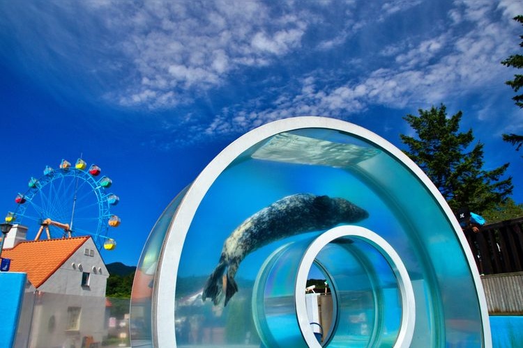 Tourist destination images of Noboribetsu Marine Park Nixe(2)