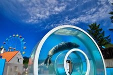 Tourist destination images of Noboribetsu Marine Park Nixe(2)