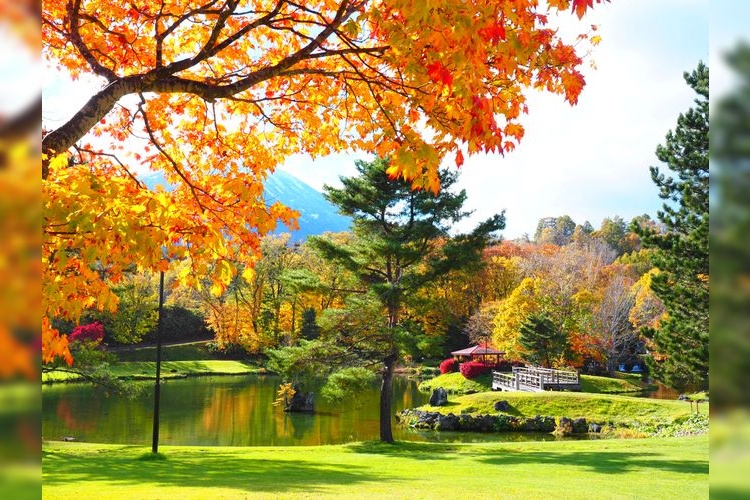 Tourist destination images of Fukidashi Park(4)