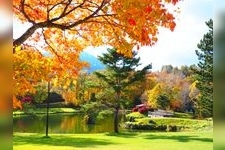 Tourist destination images of Fukidashi Park(4)