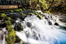 Tourist destination images of Fukidashi Park(1)