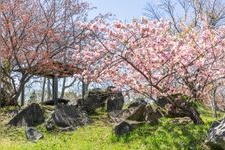 Tourist destination images of Usu Zenkoji Temple(3)