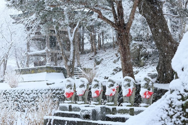 Tourist destination images of Usu Zenkoji Temple(2)