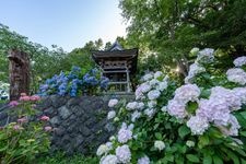 Tourist destination images of Usu Zenkoji Temple(4)