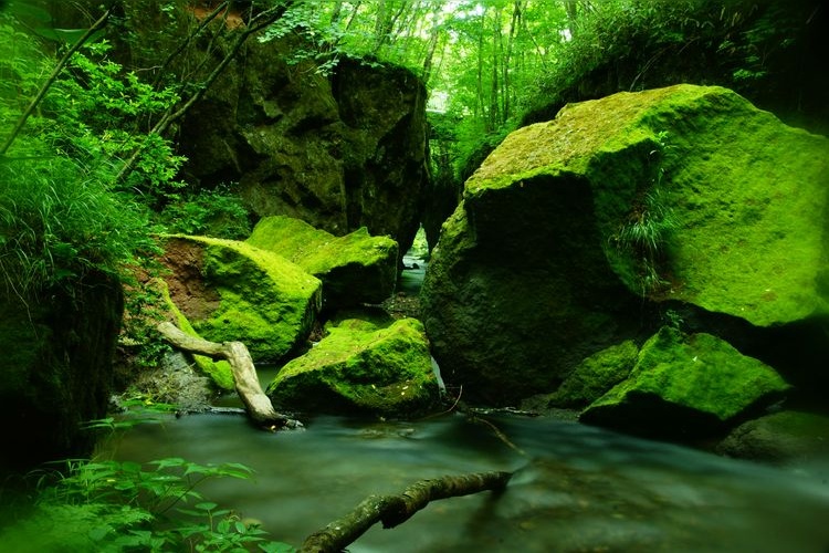 Tourist destination images of Tarumae Garō(2)