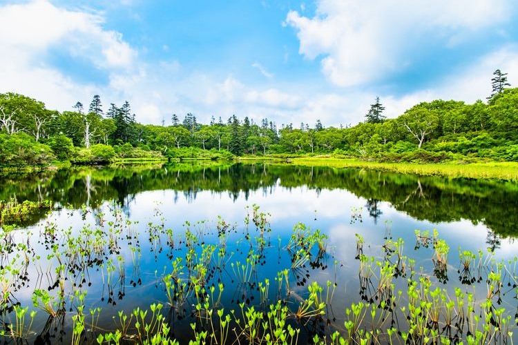 Tourist destination images of Shinsen-numa(3)