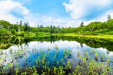 Tourist destination images of Shinsen-numa(3)