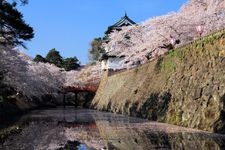 Tourist destination images of Hirosaki Castle (Hirosaki Park)(1)