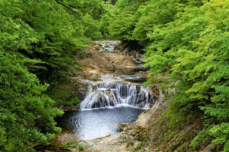 Kawauchi River Valley